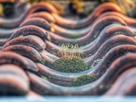 dieter-de-vroomen-637670-unsplash dieter-de-vroomen-637670-unsplash