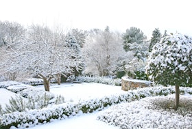 MI_23_trädgård_inför_vinter MI_23_trädgård_inför_vinter