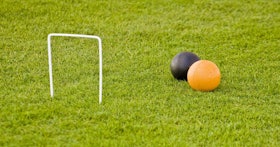 804017-two-croquet-balls 804017-two-croquet-balls