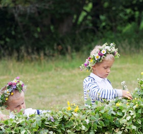 klamidsommarstang_mk klamidsommarstang_mk