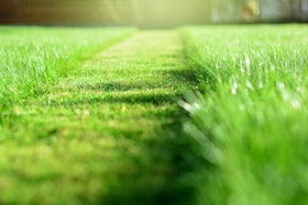 mowing the lawn. A perspective of green grass cut strip. Selecti mowing the lawn. A perspective of green grass cut strip. Selecti