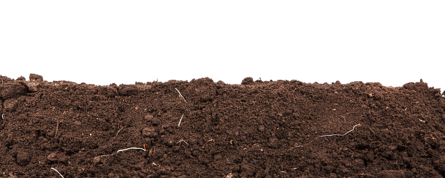 Handful of dark brown soil isolated on white background Handful of dark brown soil isolated on white background