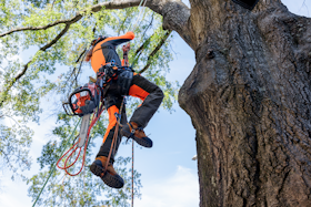 arborist magasin 1 arborist magasin 1