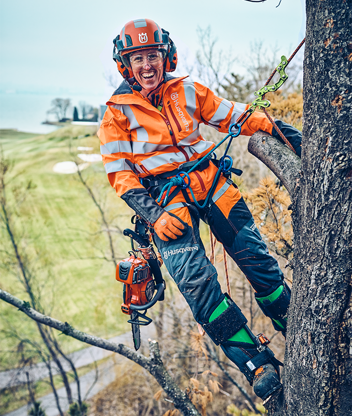 arborist 1 arborist 1