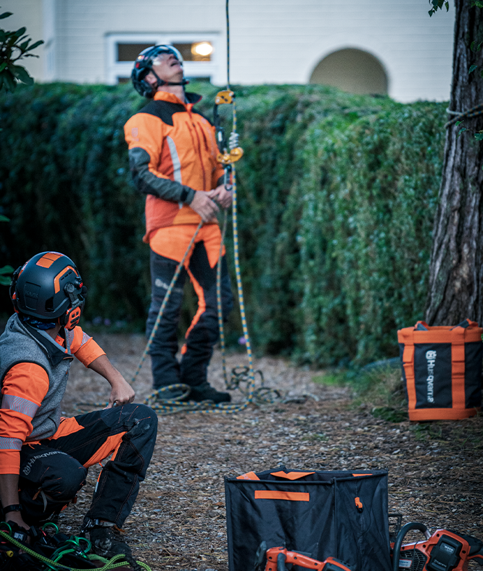 arborist 6 arborist 6