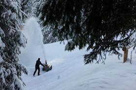 Kampanjyta snöslunga_ Kampanjyta snöslunga_