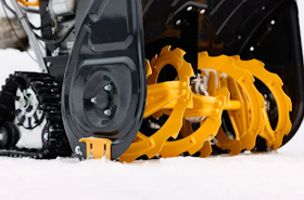 Kampanjyta snöslunga_ Kampanjyta snöslunga_