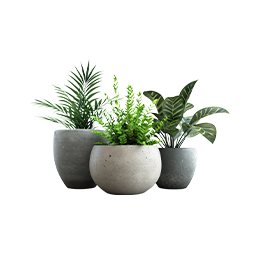 Krukor och Blomlådor