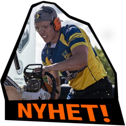 MK Nyhet Ferry Svan