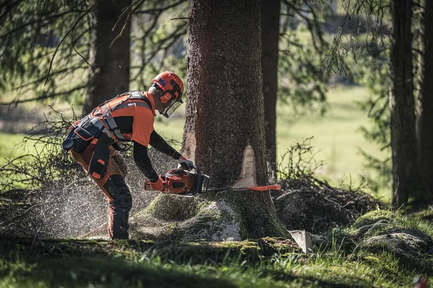 skogsarbete skogsarbete